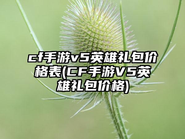 cf手游v5英雄礼包价格表(CF手游V5英雄礼包价格)