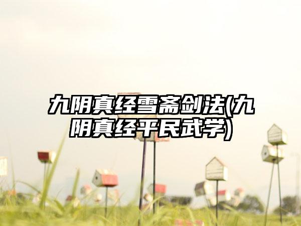 九阴真经雪斋剑法(九阴真经平民武学)