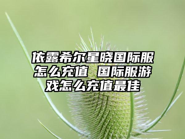 依露希尔星晓国际服怎么充值 国际服游戏怎么充值最佳