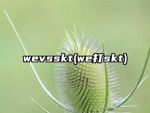 wevsskt(we打skt)