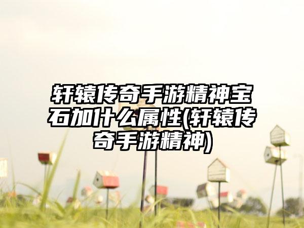 轩辕传奇手游精神宝石加什么属性(轩辕传奇手游精神)