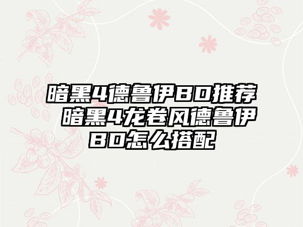 暗黑4德鲁伊BD推荐 暗黑4龙卷风德鲁伊BD怎么搭配