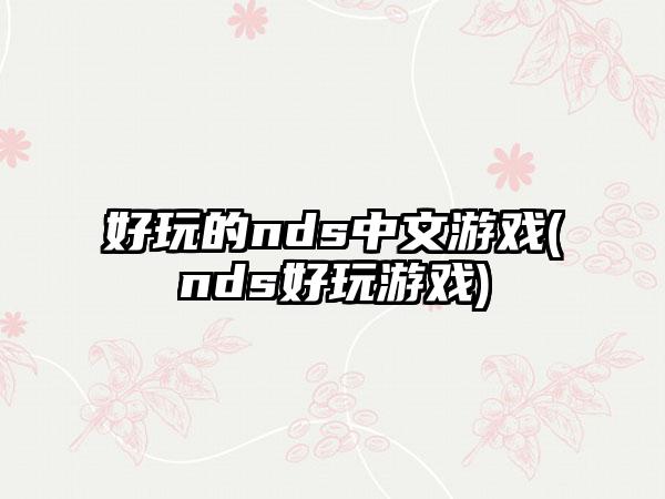 好玩的nds中文游戏(nds好玩游戏)