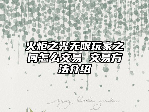 火炬之光无限玩家之间怎么交易 交易方法介绍