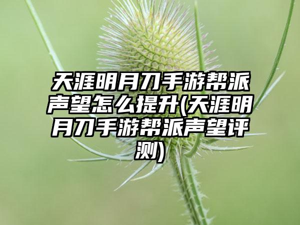 天涯明月刀手游帮派声望怎么提升(天涯明月刀手游帮派声望评测)
