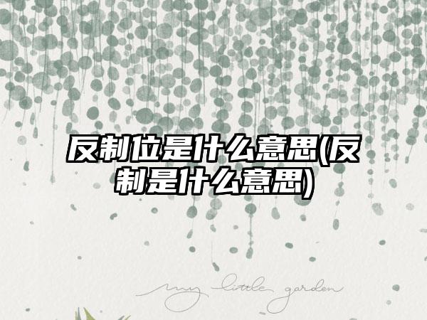 反制位是什么意思(反制是什么意思)