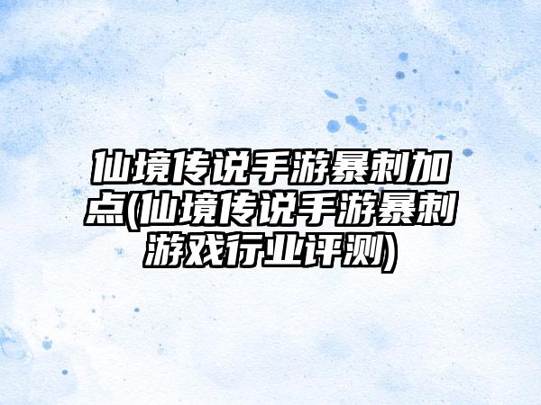 仙境传说手游暴刺加点(仙境传说手游暴刺游戏行业评测)