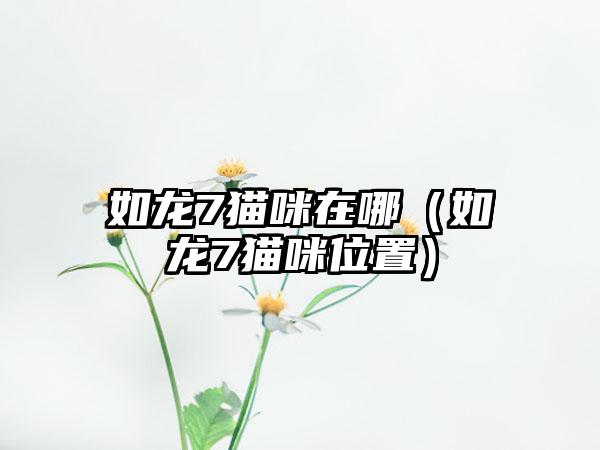 如龙7猫咪在哪（如龙7猫咪位置）