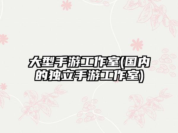 大型手游工作室(国内的独立手游工作室)