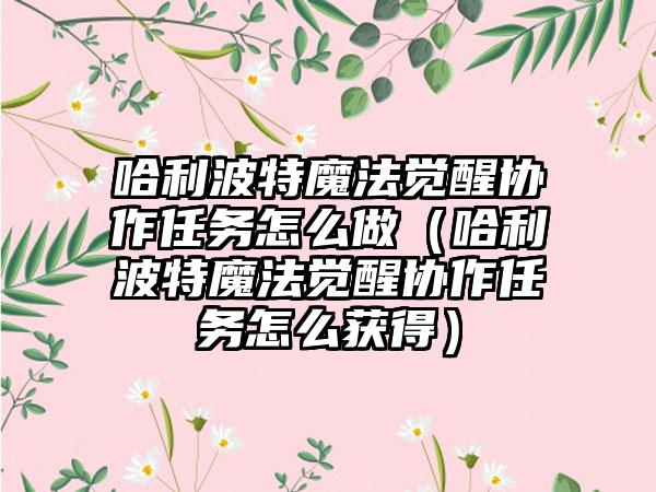 哈利波特魔法觉醒协作任务怎么做（哈利波特魔法觉醒协作任务怎么获得）