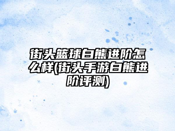 街头篮球白熊进阶怎么样(街头手游白熊进阶评测)