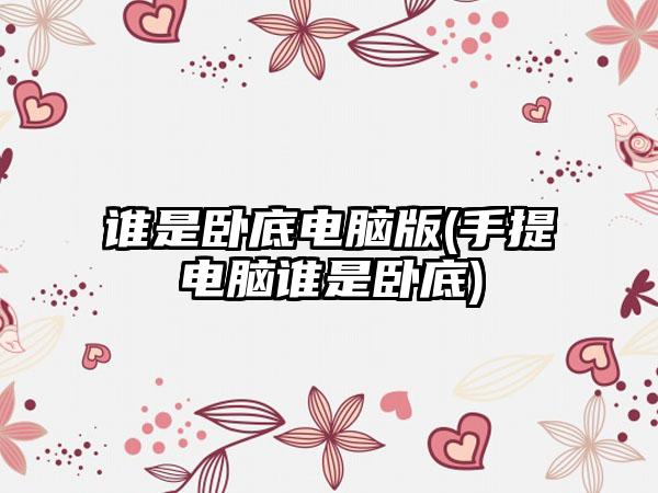 谁是卧底电脑版(手提电脑谁是卧底)