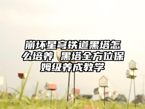 崩坏星穹铁道黑塔怎么培养 黑塔全方位保姆级养成教学