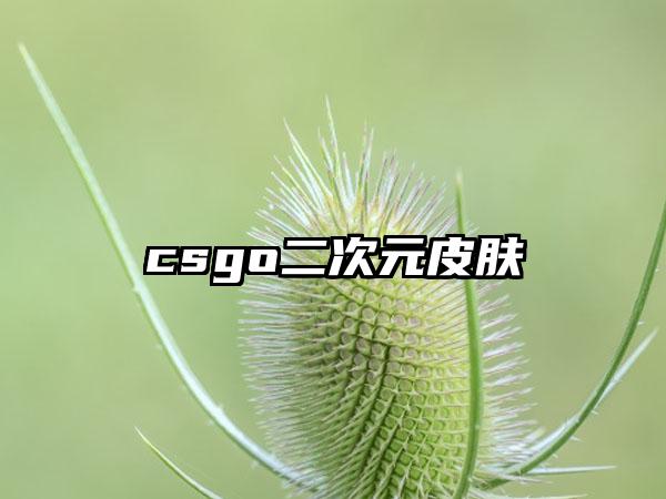 csgo二次元皮肤