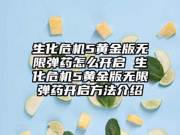 生化危机5黄金版无限弹药怎么开启 生化危机5黄金版无限弹药开启方法介绍