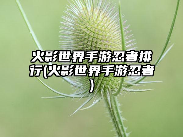 火影世界手游忍者排行(火影世界手游忍者)