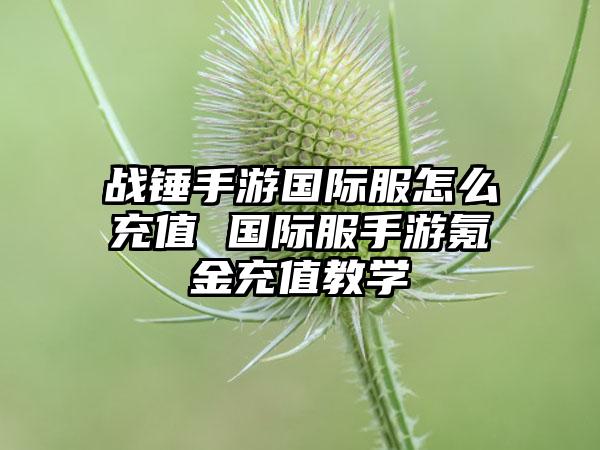 战锤手游国际服怎么充值 国际服手游氪金充值教学