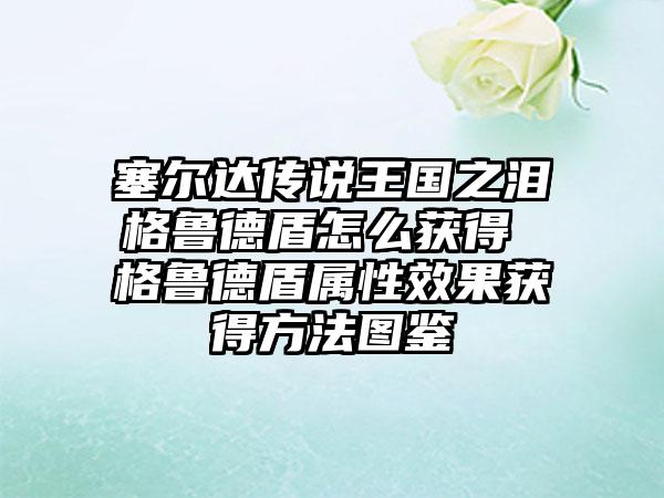 塞尔达传说王国之泪格鲁德盾怎么获得 格鲁德盾属性效果获得方法图鉴