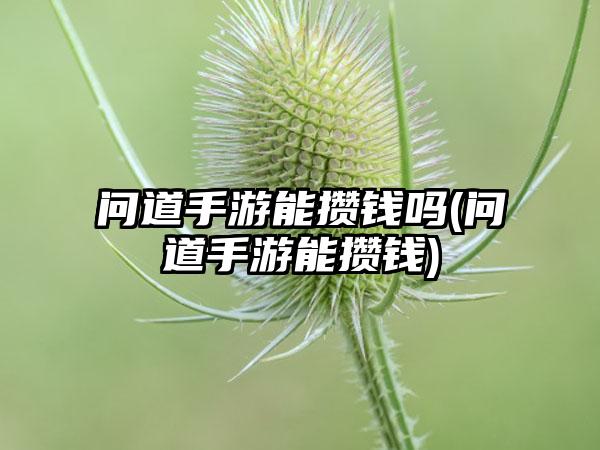 问道手游能攒钱吗(问道手游能攒钱)