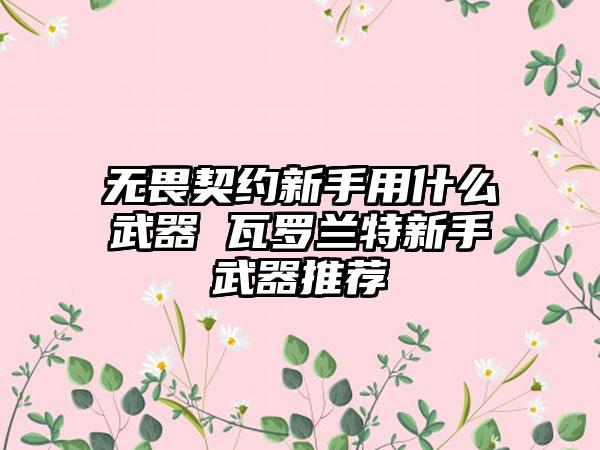 无畏契约新手用什么武器 瓦罗兰特新手武器推荐