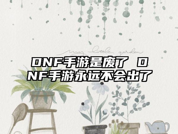 DNF手游是废了 DNF手游永远不会出了