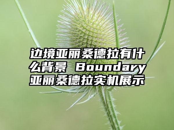 边境亚丽桑德拉有什么背景 Boundary亚丽桑德拉实机展示