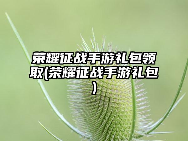 荣耀征战手游礼包领取(荣耀征战手游礼包)