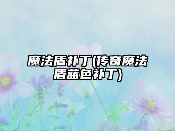 魔法盾补丁(传奇魔法盾蓝色补丁)