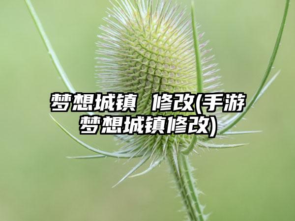 梦想城镇 修改(手游梦想城镇修改)