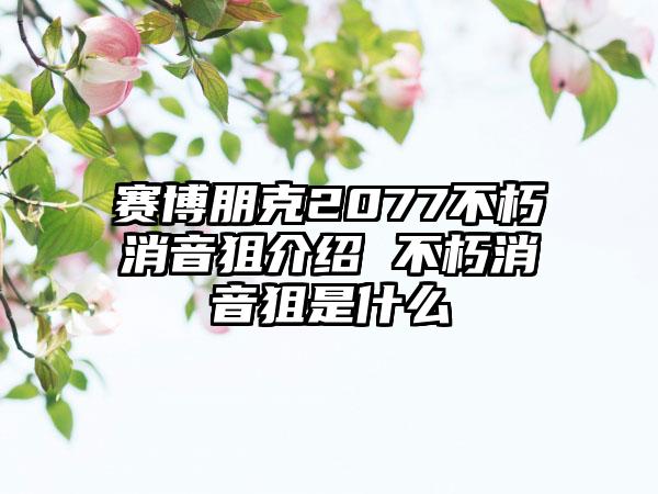 赛博朋克2077不朽消音狙介绍 不朽消音狙是什么