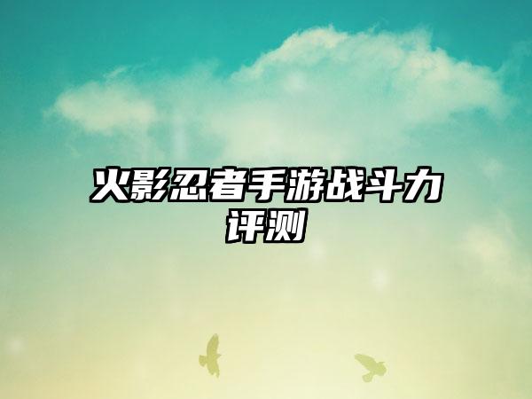 火影忍者手游战斗力评测