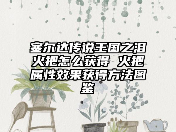 塞尔达传说王国之泪火把怎么获得 火把属性效果获得方法图鉴