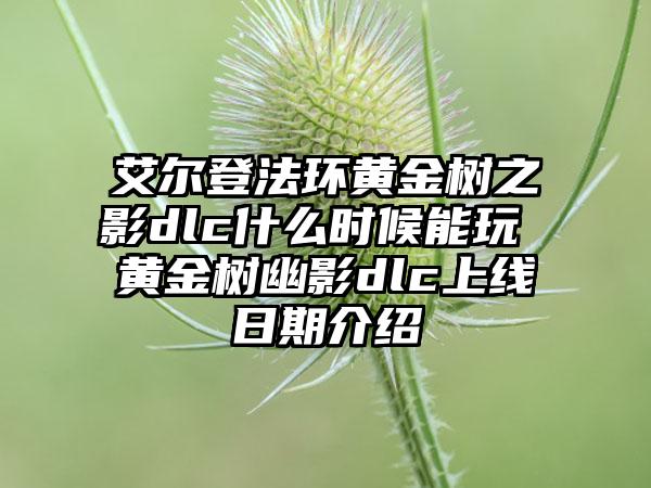 艾尔登法环黄金树之影dlc什么时候能玩 黄金树幽影dlc上线日期介绍
