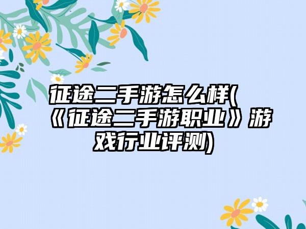 征途二手游怎么样(《征途二手游职业》游戏行业评测)