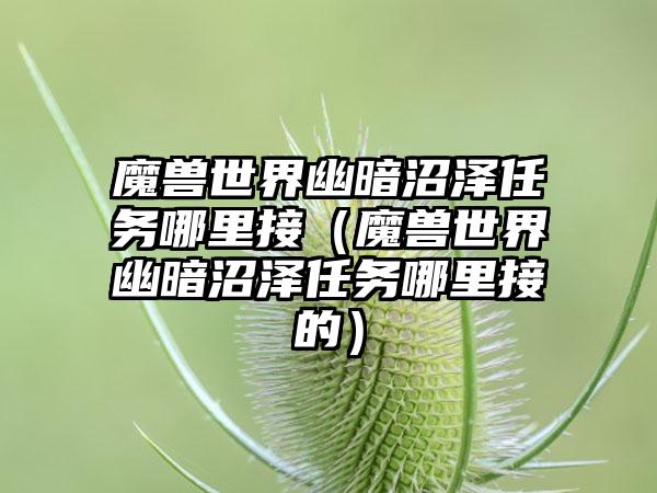 魔兽世界幽暗沼泽任务哪里接（魔兽世界幽暗沼泽任务哪里接的）