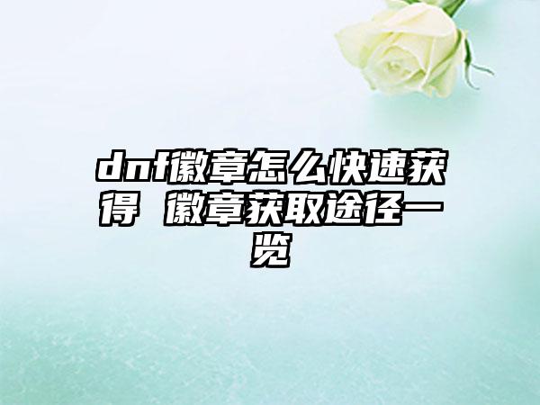 dnf徽章怎么快速获得 徽章获取途径一览