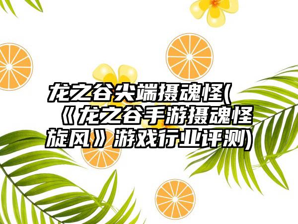 龙之谷尖端摄魂怪(《龙之谷手游摄魂怪旋风》游戏行业评测)