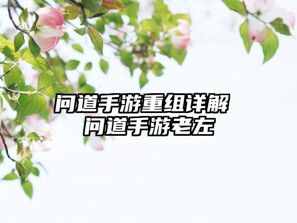 问道手游重组详解 问道手游老左