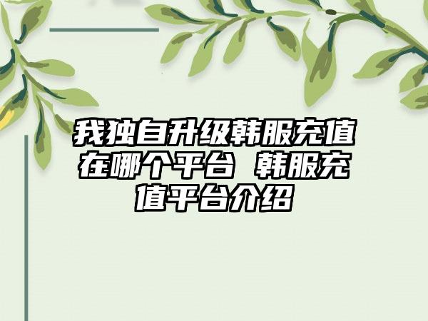 我独自升级韩服充值在哪个平台 韩服充值平台介绍