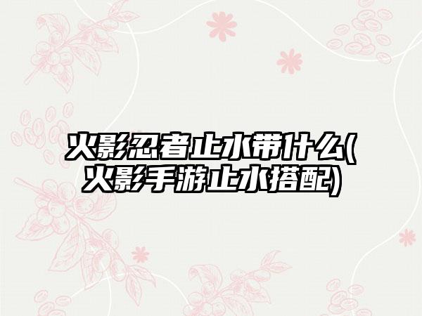 火影忍者止水带什么(火影手游止水搭配)