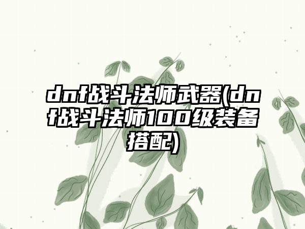dnf战斗法师武器(dnf战斗法师100级装备搭配)
