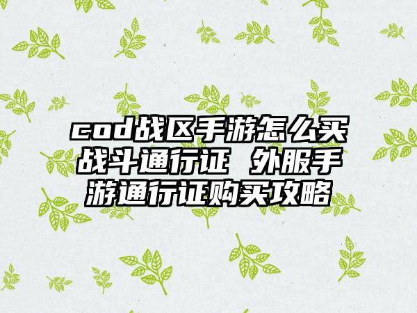 cod战区手游怎么买战斗通行证 外服手游通行证购买攻略