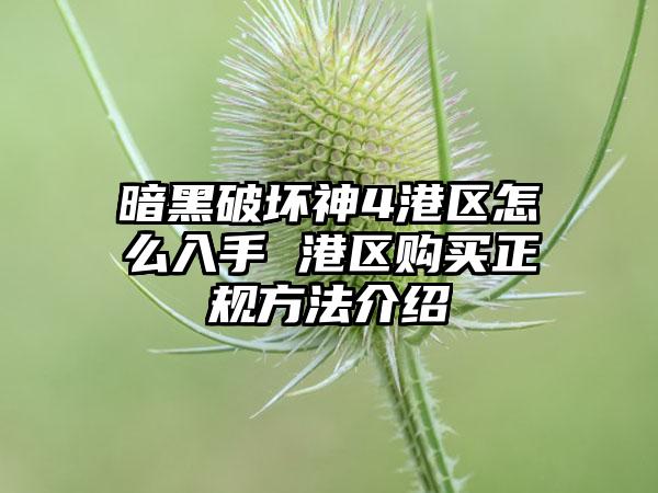 暗黑破坏神4港区怎么入手 港区购买正规方法介绍