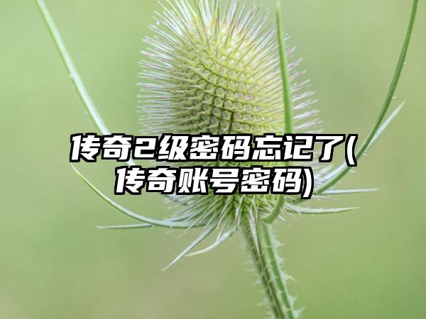 传奇2级密码忘记了(传奇账号密码)