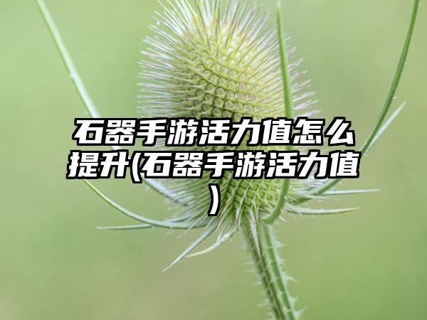 石器手游活力值怎么提升(石器手游活力值)