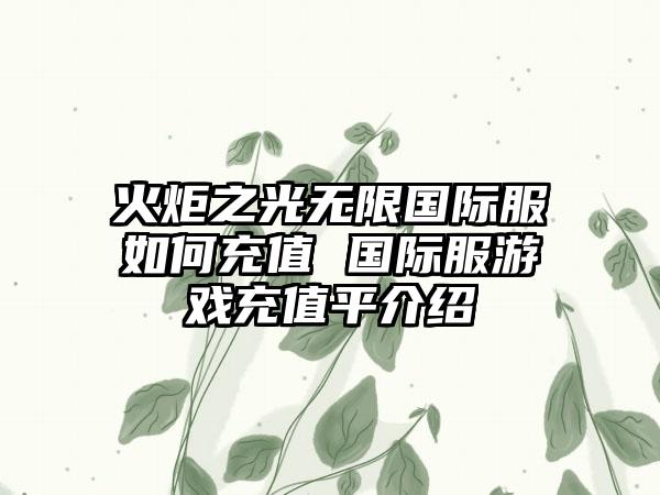 火炬之光无限国际服如何充值 国际服游戏充值平介绍