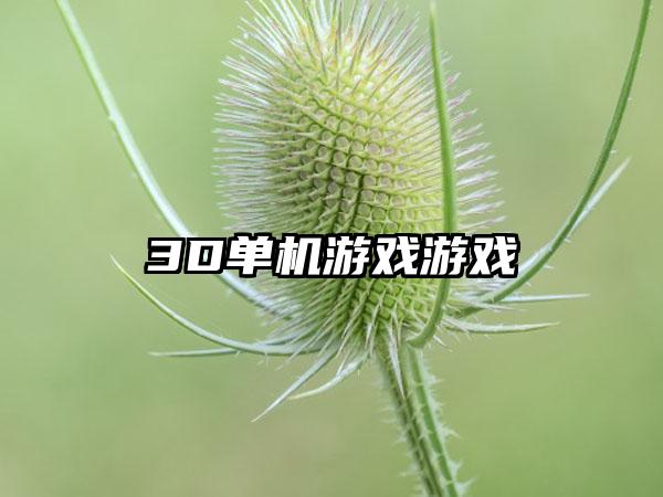 3D单机游戏游戏