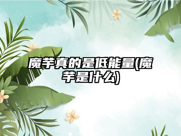 魔芋真的是低能量(魔芋是什么)