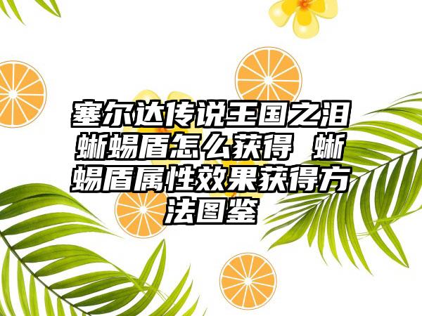 塞尔达传说王国之泪蜥蜴盾怎么获得 蜥蜴盾属性效果获得方法图鉴