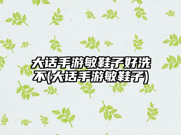 大话手游敏鞋子好洗不(大话手游敏鞋子)